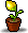 花盆