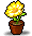 开着黄色花朵的花盆