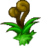 魔法密林高山植物