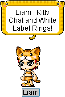 Cat Hat / Cat Suit / Gold Kitty Slippers / Kitty Chat Ring / White Label Ring